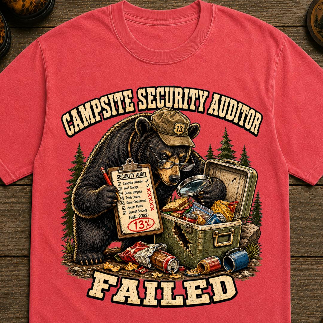 Campsite Security Auditor