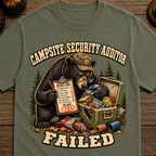 Campsite Security Auditor