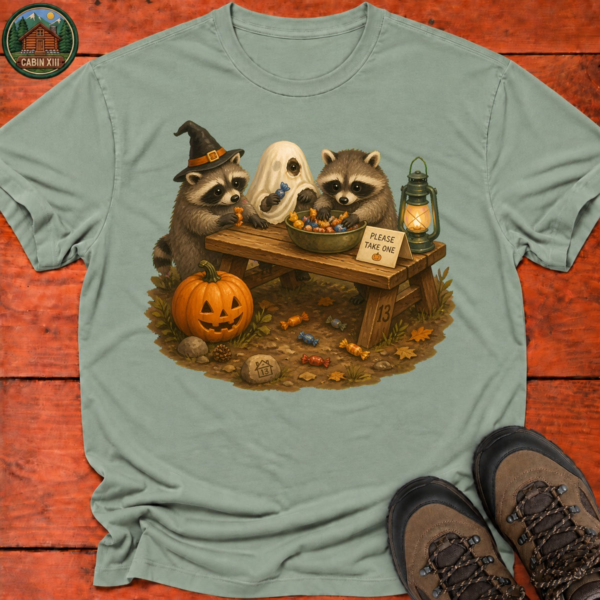 Raccoon Trick Or Treat T-Shirt — Sage