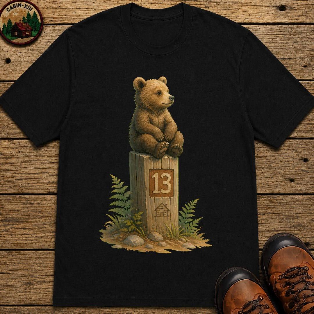 Bear On A Post T-Shirt - Black
