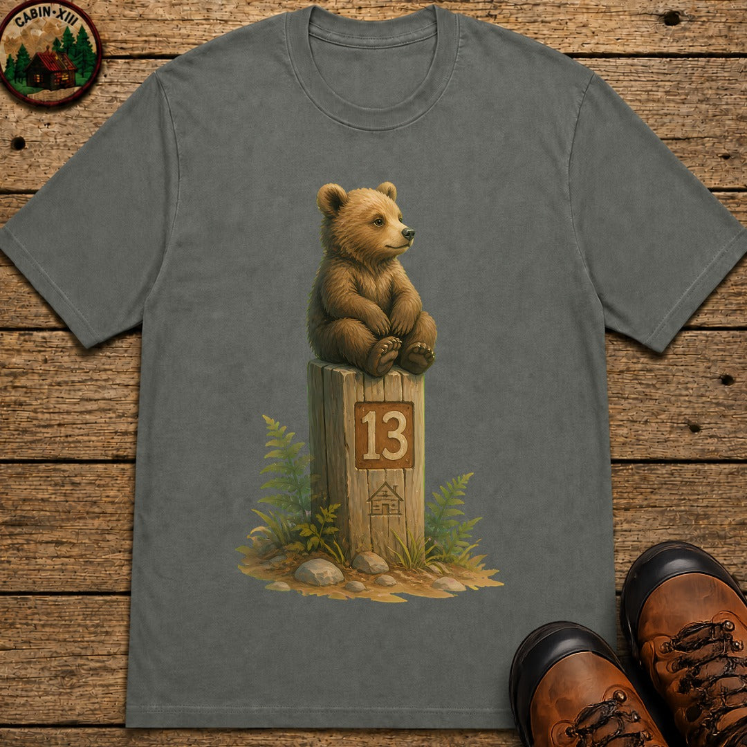 Bear On A Post T-Shirt - Pepper