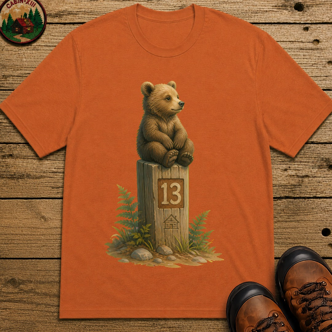 Bear On A Post T-Shirt - Yam