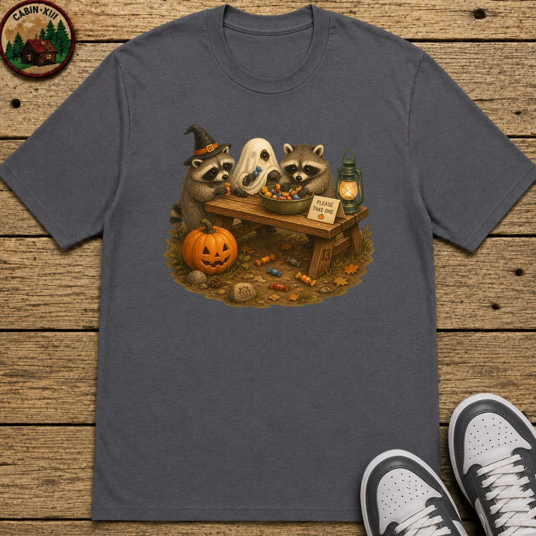 Raccoon Trick Or Treat Kids T-Shirt - Charcoal
