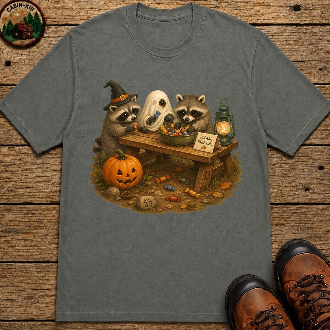 Raccoon Trick Or Treat T-Shirt - Pepper