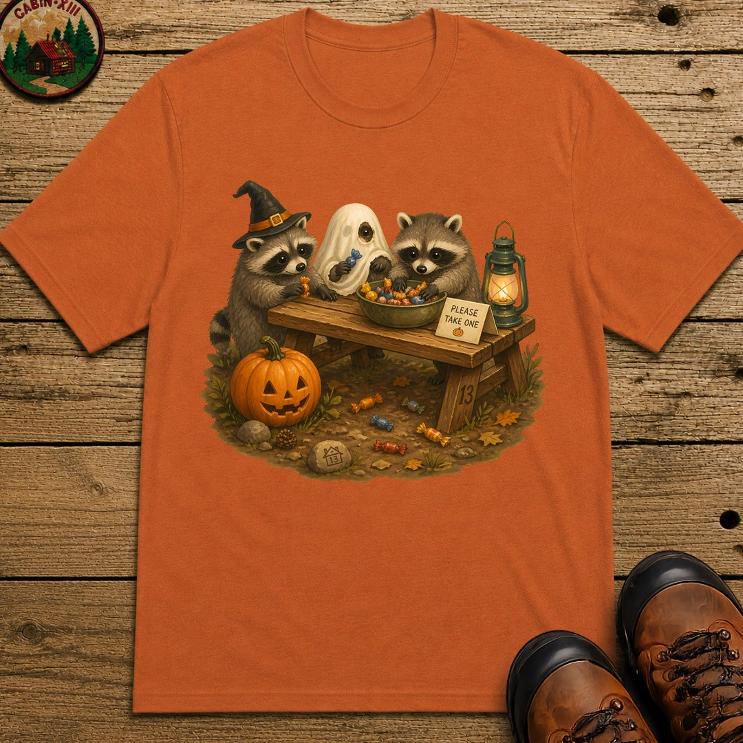 Raccoon Trick Or Treat T-Shirt - Yam