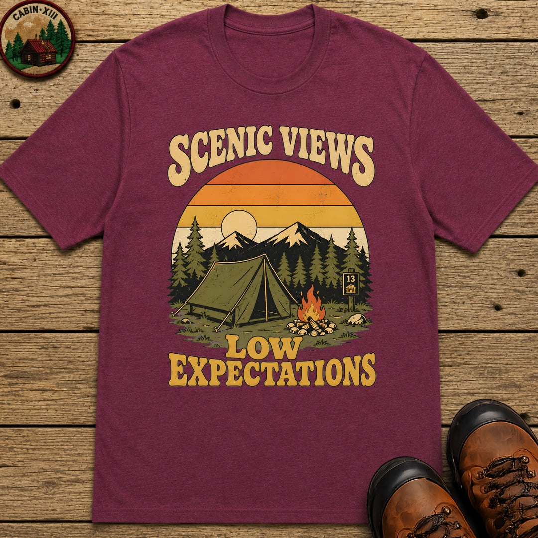 Scenic Views Low Expectations T Shirt - Berry