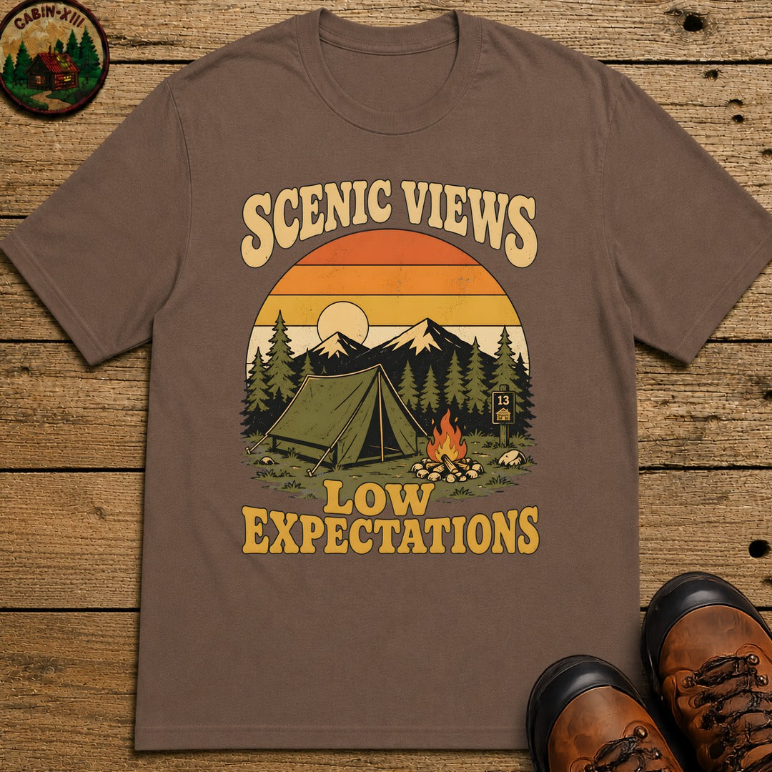 Scenic Views Low Expectations T Shirt - Espresso