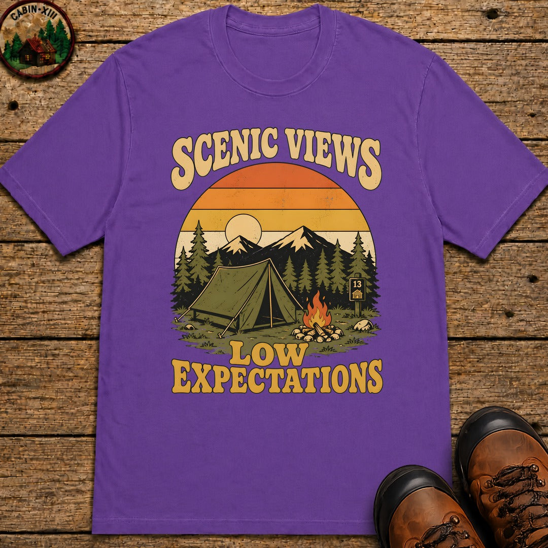 Scenic Views Low Expectations T Shirt - Grape