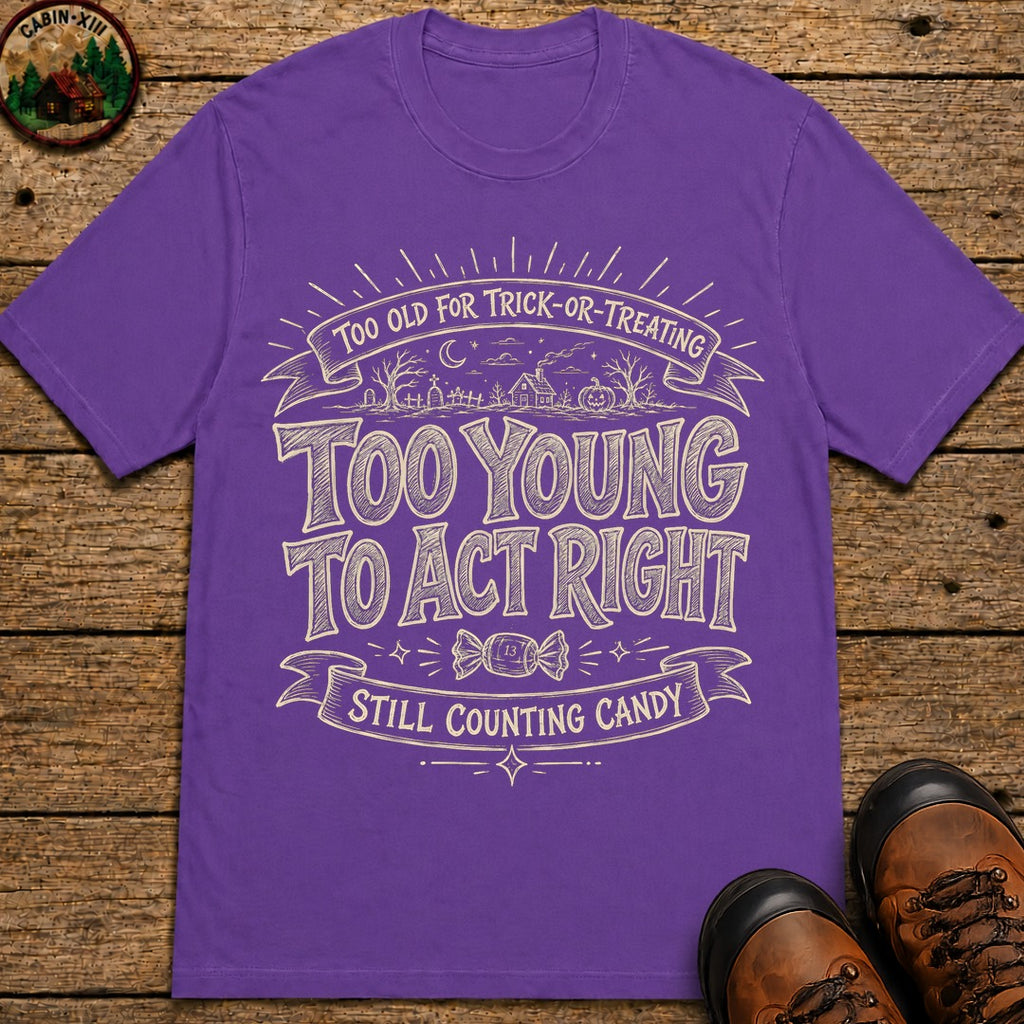 Too Old For Tick Or Treating Sketch Badge T Shirt - Grape