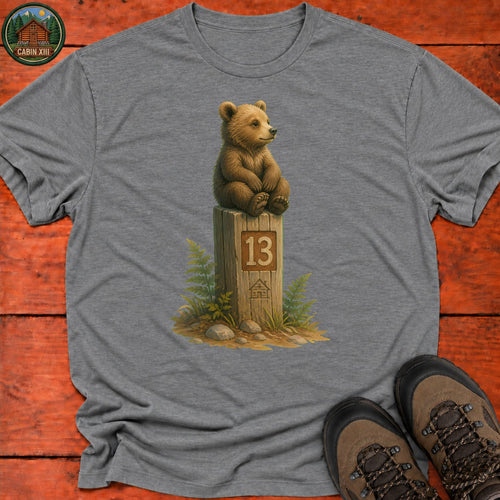 Bear On A Post T-Shirt — Graphite Heather